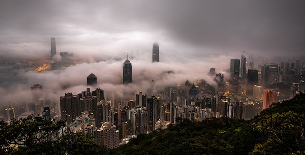 Skyscrapers of a city covered in mist