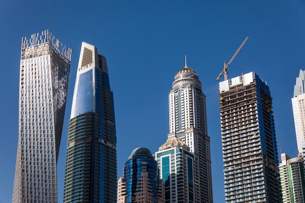 Free photo skyscrapers in dubai marina.