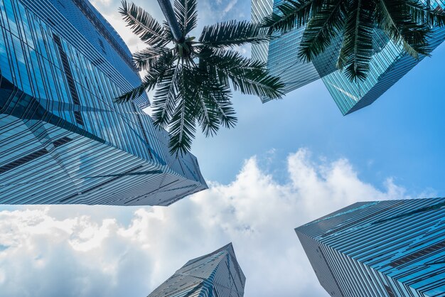 Skyscrapers from a low angle view