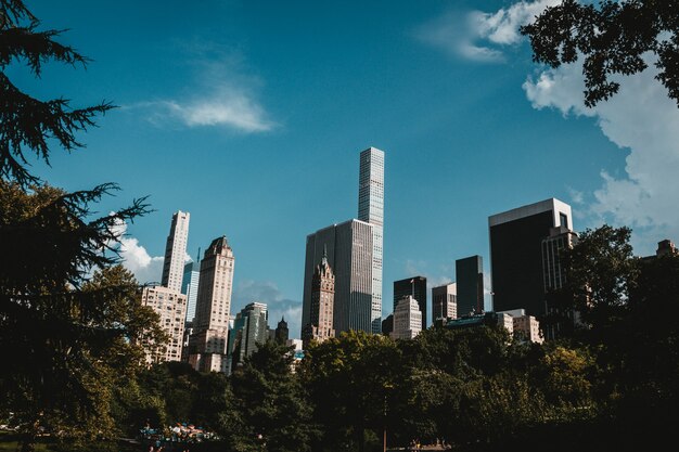 뉴욕의 고층 빌딩이 공원에서 촬영