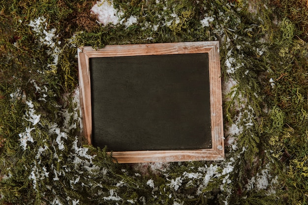 Free photo slate between fir branches