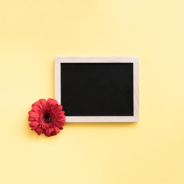 Free photo slate next to flower