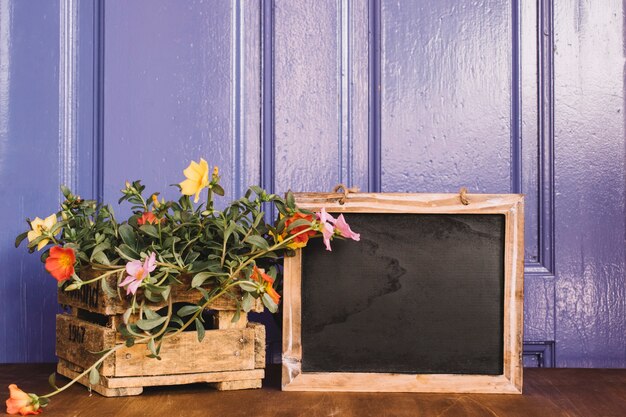 Slate next to plants