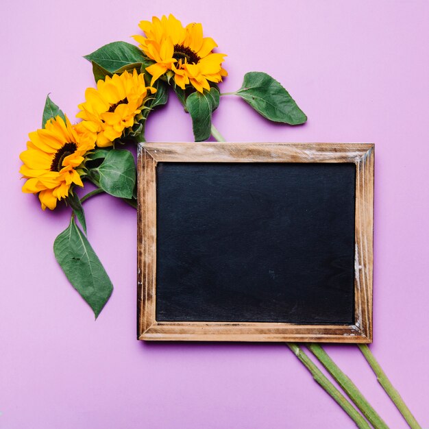 Slate on sunflowers