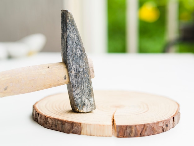 Sledgehammer on cut down trunk of tree