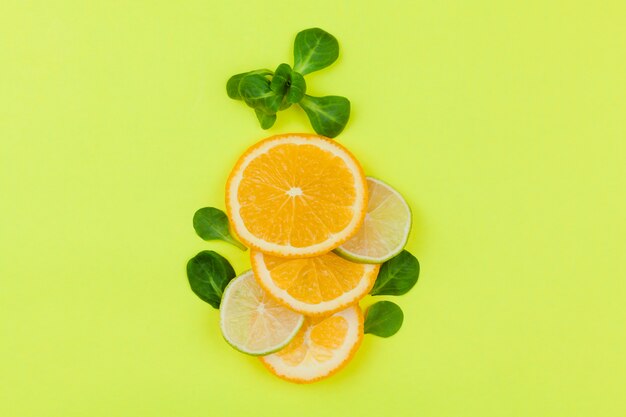 Sliced ​​citrus fruits with leaves on light green background