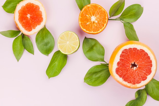 Slices of fresh exotic fruits and green foliage