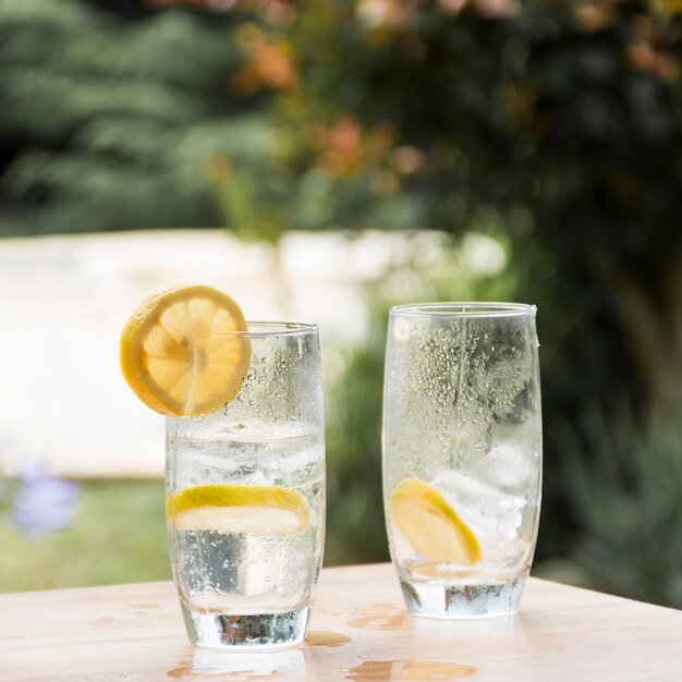 Slices of fruits on glasses with cold drink and ice