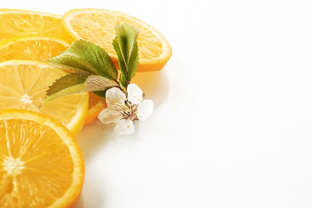 오렌지와 레몬 흰색에 고립의 조각.