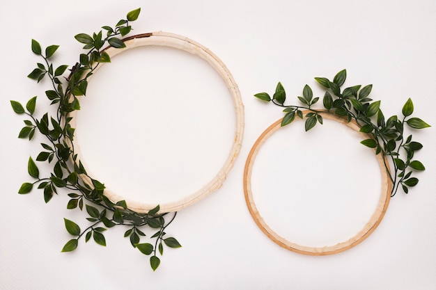 Small and big wooden circular frame with green leaves on white backdrop