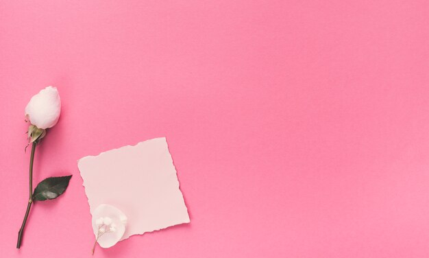핑크 테이블에 흰 꽃과 작은 빈 종이