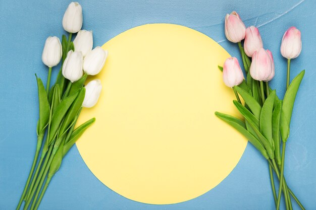 Small bouquets of tulips on blue background