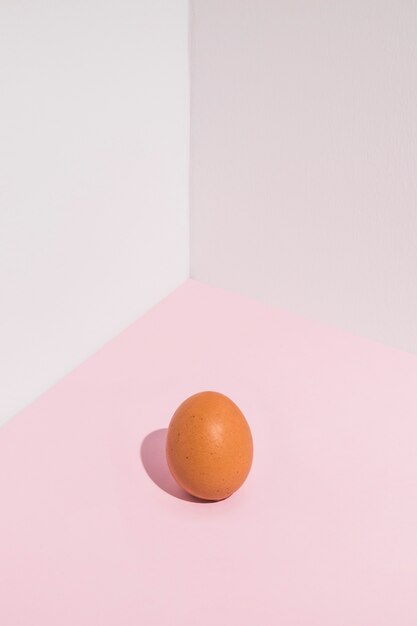 Small brown chicken egg on table