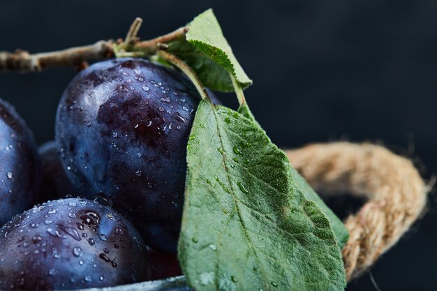 Small bucket of fresh plums on black, close up.