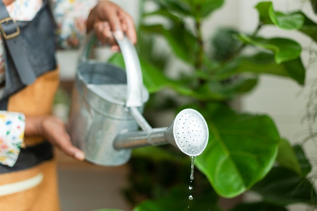 Small business worker watering plants