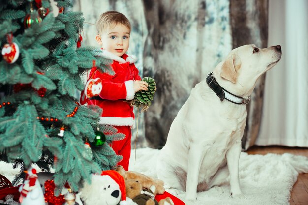 小さい子供とラブラドールの犬は、クリスマスツリーの近くに立つ