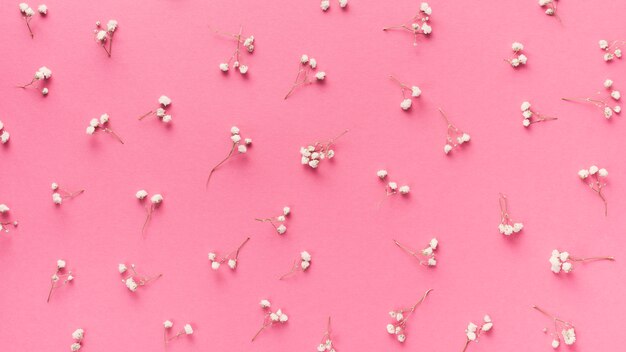 Small flower branches scattered on pink table