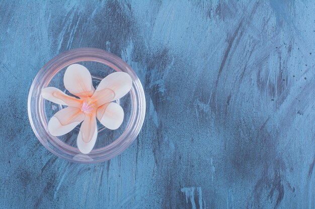 A small glass platter with water and pink flower .