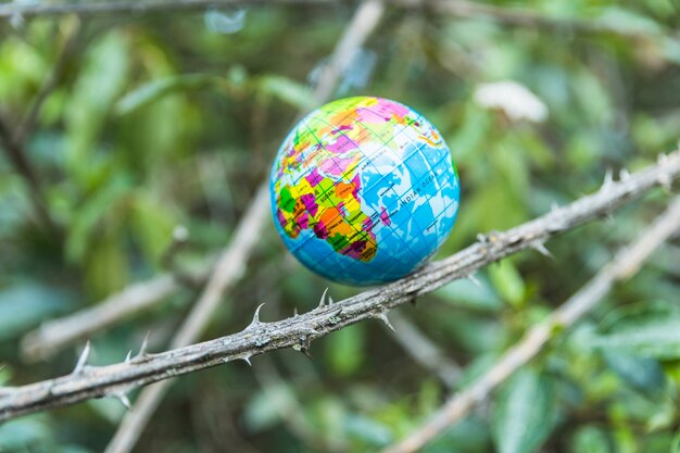 Small globe on branch of tree