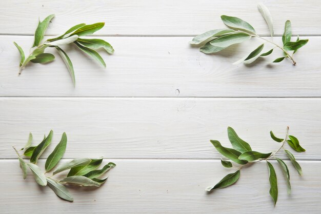 Small green leaves