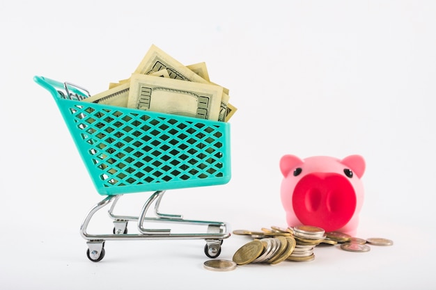 Small grocery cart with money and piggy bank