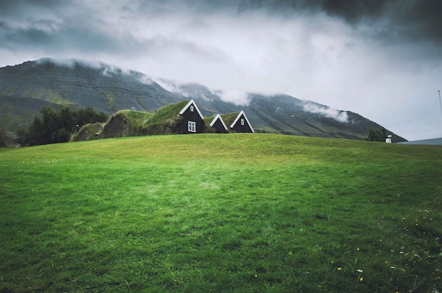Small houses in a green field with dark sky