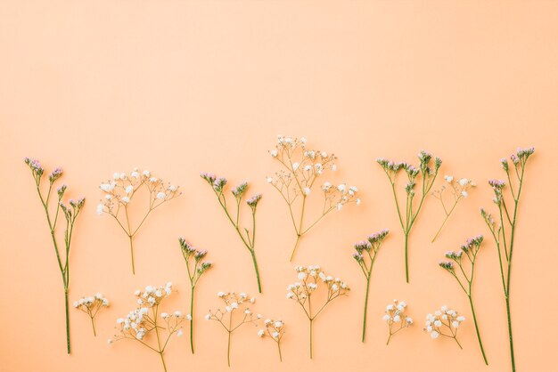 Small lilac and white flowers