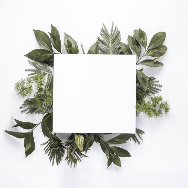 Small paper on green plant branches on table