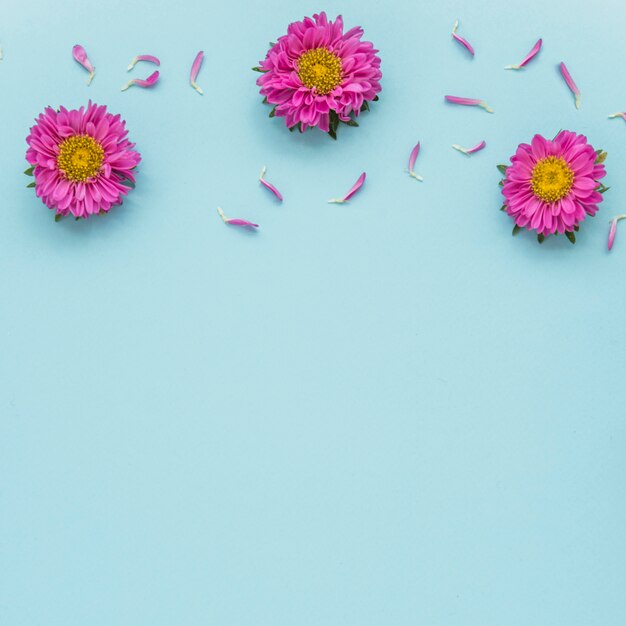 Small petals near bright flowers