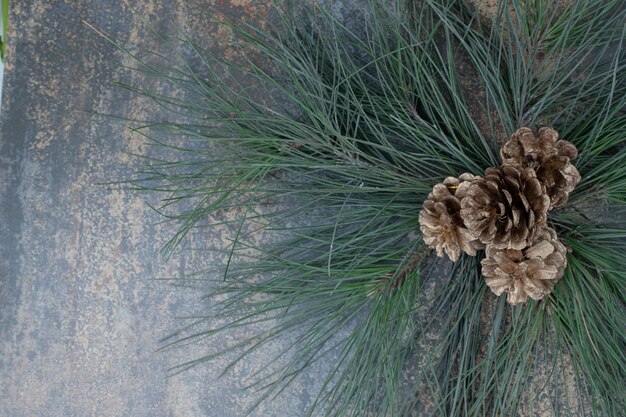 대리석 바탕에 녹색 나무의 분 지에 작은 pinecones. 고품질 사진