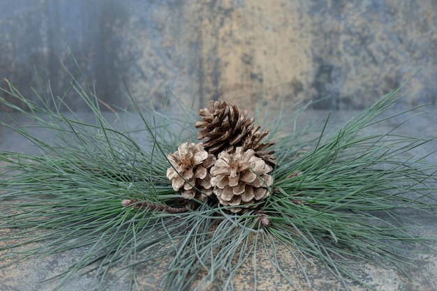 무료 사진 대리석 바탕에 녹색 나무의 분 지에 작은 pinecones. 고품질 사진