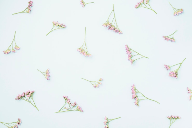 無料Photo 小さなピンクの花