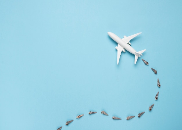 Free photo small plane with trace of seashells