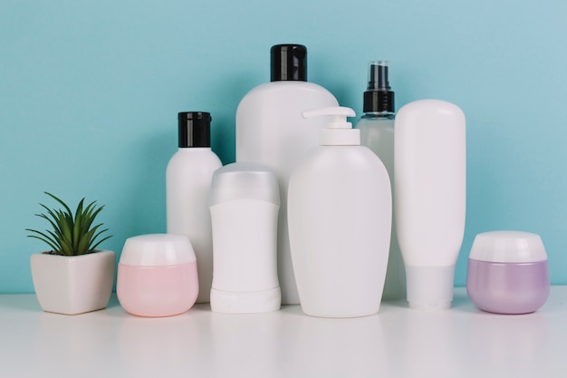 Small plant near various cosmetics bottles