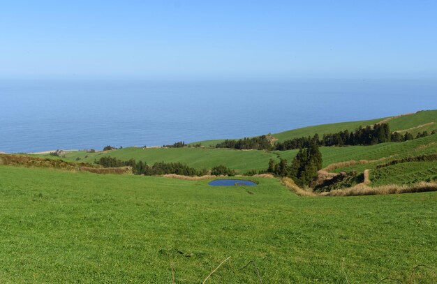 Small pond in a grass field along the coast of the Azores.