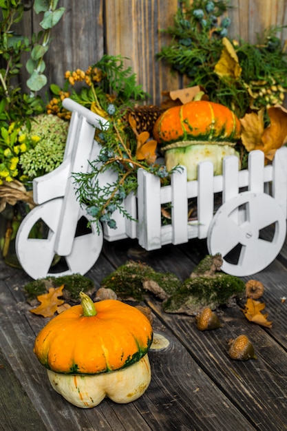 small pumpkin on wooden background, autumn