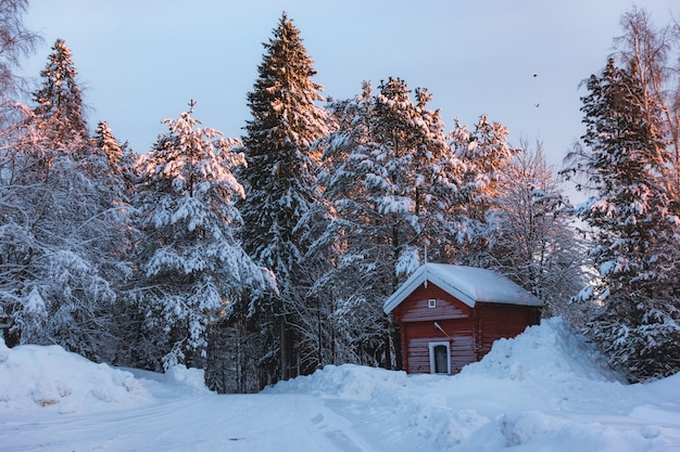 Small red cabin in a snow area surrounded by fir trees covered in snow with a touch of sun rays