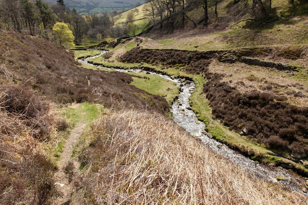 Небольшая река в окружении холмов, покрытых зеленью, под солнечным светом в Великобритании