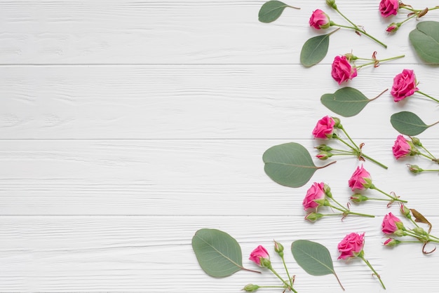 Small roses and leaves