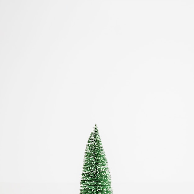 Small toy fir tree