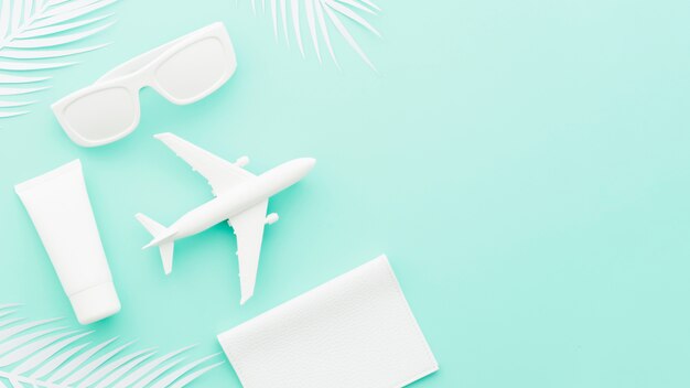 Small toy plane with sunglasses and palm leaves 