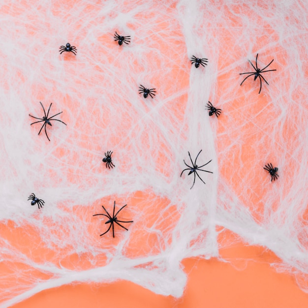 Small toy spiders on web 