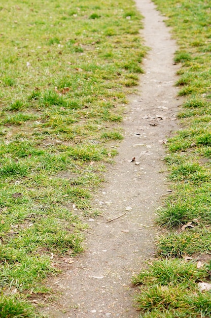 草の上の小さな道