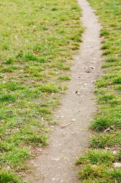 草の上の小さな道