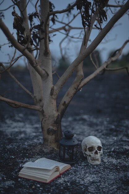 Small tree with spell book and skull for halloween night
