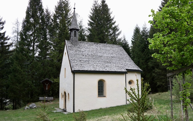 Small white church building in a green land surrounded by tall fir trees