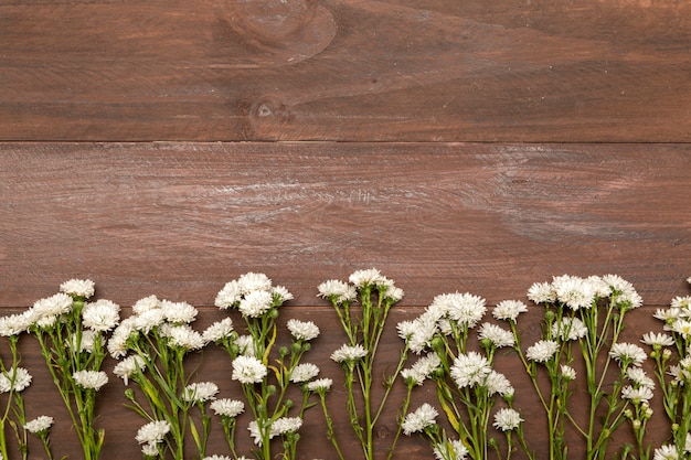 Free photo small white flowers on wooden background