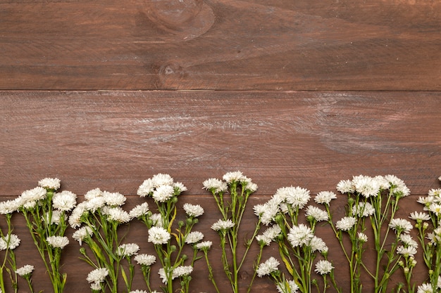 Small white flowers on wooden background