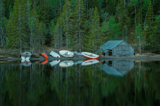 Foto gratuita piccola baita in legno, accanto a barche sulla riva di un lago calmo, di fronte a una foresta verde