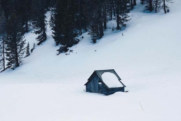 Free photo small wooden handbuilt house in a forest covered in snow on a snowy hill